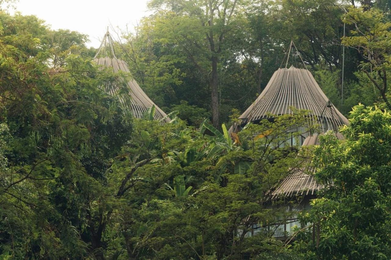 Hotel Keemala Kamala Beach Exterior foto Hammocks at the National Zoo